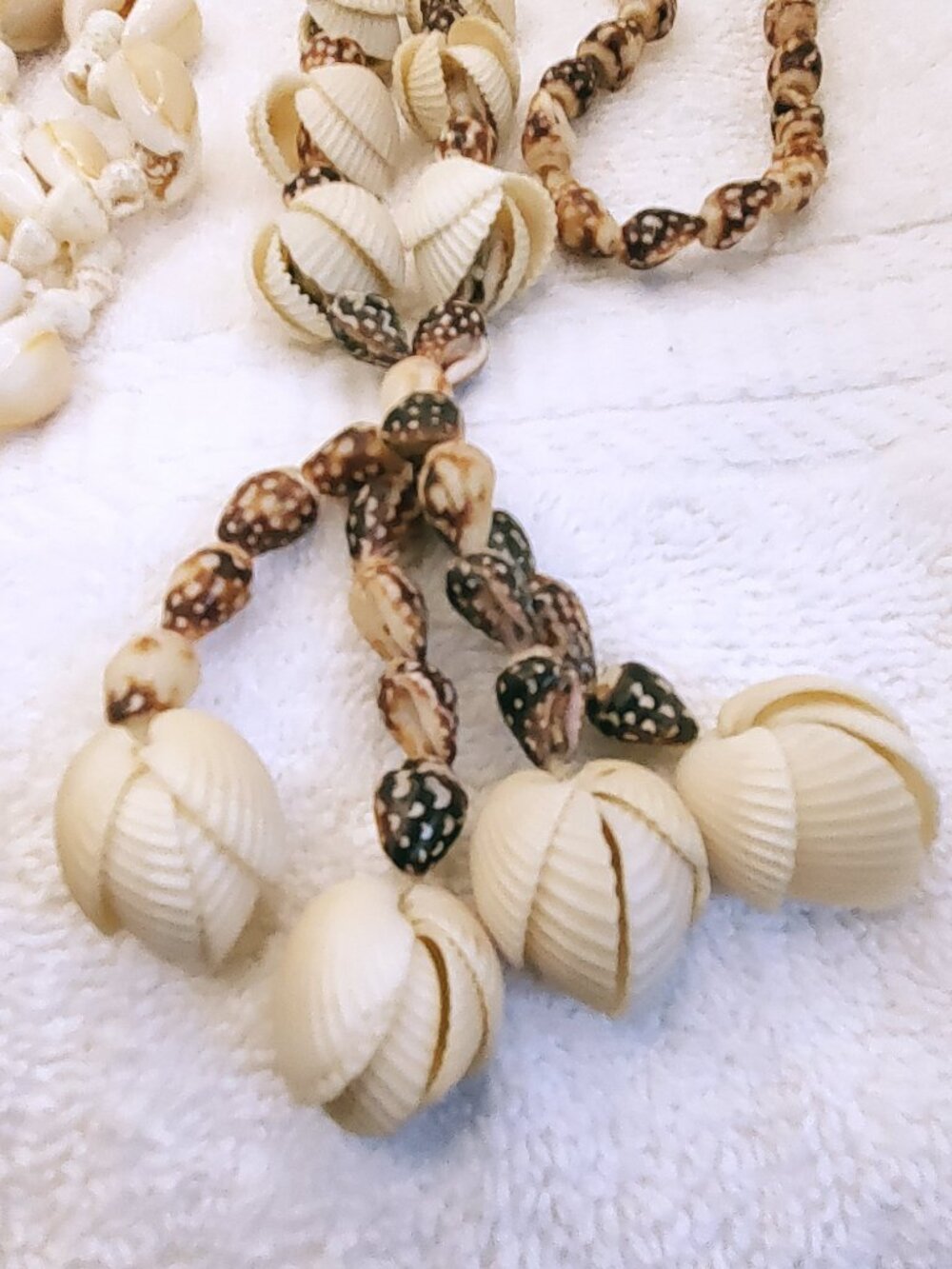 3 Shell Necklaces, items # B- 1943-1945,. wt. 206 grams. - Picture 8 of 10